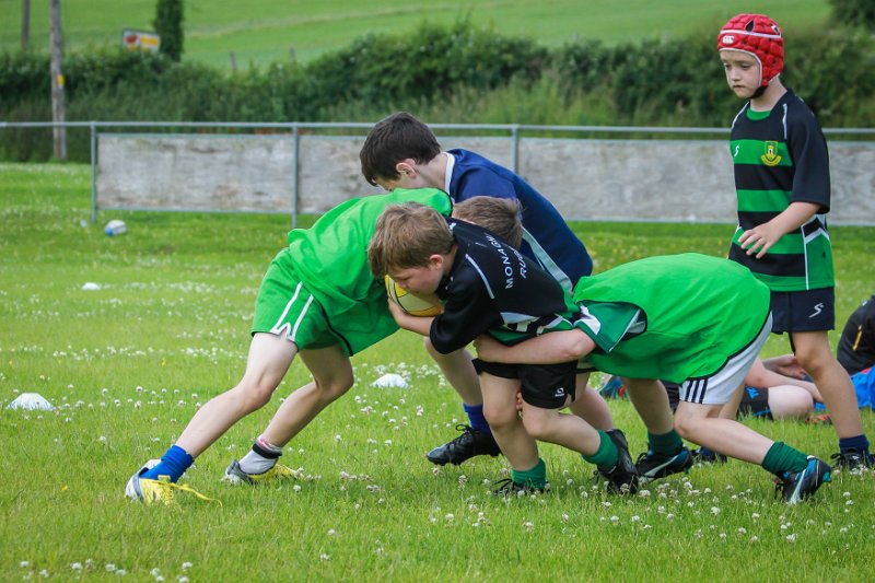 Monaghan Rugby Summer Camp 2015 (45 of 75).jpg